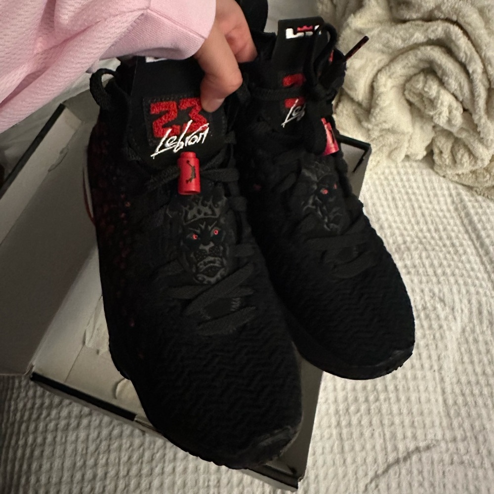 Nike Lebron 17